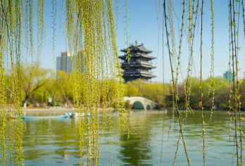 山东济南趵突泉+大明湖+千佛山畅游【可定制行程/翻译/导游】【三大名胜，饱览泉城精华！】