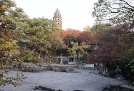 【纯玩 晚出发专业导游】拙政园+虎丘+寒山寺+山塘街一日游【涵盖苏州特具人气的经典园林，领略苏州古城风韵，金牌导游讲解园林历史】