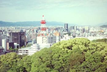 日本大阪+和歌山+三段壁+白良滨一日游/行程可调-可定制多日【包车一日游，解锁旅行新方式！独立车辆配备经验丰富的老司机，为您量身打造专属行程。】