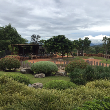 泰国华欣野生动物园一日游【自行前往】