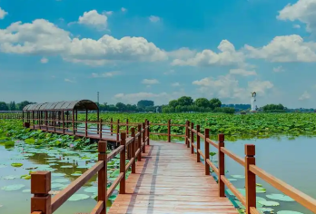 衡水包车地陪导游翻译地接陪同接送旅游展会商务考察陪诊【衡水包车地陪导游翻译地接陪同接送旅游展会商务考察陪诊】