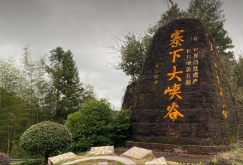 泰宁上清溪竹筏漂流+寨下大峡谷一日游【纯玩无购物 门票全含】【含上清溪竹筏漂流 + 寨下大峡谷门票，上门接送，沉浸式体验 99 曲清凉漂流】