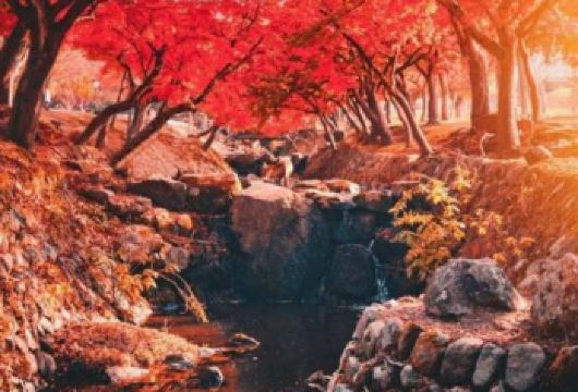 日本京都/大阪/奈良/宇治/神户/任选关西一日包车-咨询立减【专属客服和本地中文司机，一家一团包车】