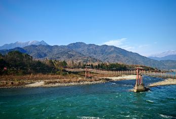 卧龙大熊猫神树坪基地+都江堰包车一日游【专业致力于精品舒适团】