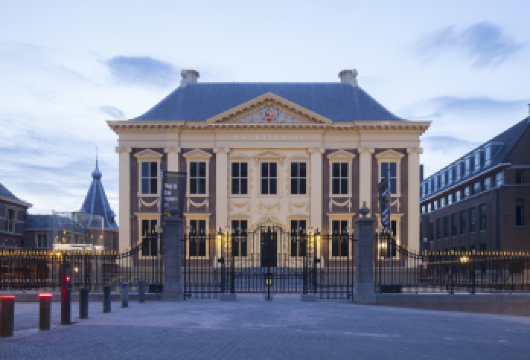 莫瑞泰斯皇家美术馆+和平宫+国会大厦与骑士楼+席凡宁根海滩【精品包车，私享空间，上门接送，轻松出行】