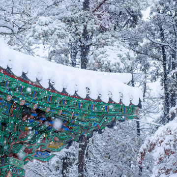 【从首尔出发】救仁寺+菩萨岭+岛潭三峰+丹阳韩国秘境一日游