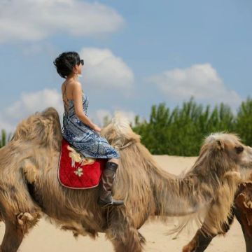 内蒙古库伦旗银沙湾沙漠一日游【美拍打卡+无限次滑沙+射箭】