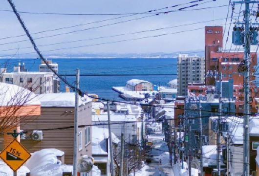 日本小樽出发打卡网红景点/可札幌登别富良野北海道多日包车精选【包车一日游，解锁旅行新方式！独立车辆配备经验丰富的老司机，为您量身打造专属行程。】