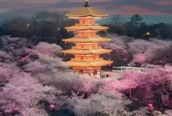 湖北省博物馆+武汉大学+黄鹤楼+汉口江滩一日游@私家团+门票【私家团丨小众法丨独立包车丨车型可选丨优选行程丨管家服务丨上门接送】