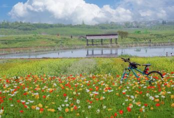 银杏湖+金陵小城+苏家理想村+石塘竹海+佘村+钱家渡+徐家院【逃离城市的喧嚣，到江宁度个小假。感受大自然的包容，吹吹清新的风，沉醉在梦中的田野乡间。】