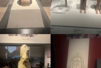 15人精品大咖讲解小团！陕西历史博物馆半日游 出票率99%【出票率99%失败退全款 2.5小时深度讲解（基础馆+珍宝馆）】