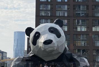 成都市区包车游|春熙路&东郊记忆&金沙遗址&杜甫草堂【上门接送|行程可调|畅玩市区热门景点|省时省心】