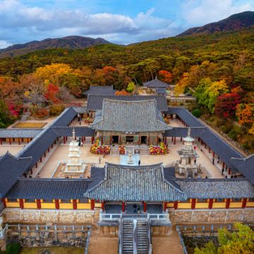 庆州半日精华游: 佛国寺+皇理团路+国立庆州博物馆 (釜山)