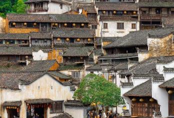 江西婺源北线包车8小时一天游/快速打卡思溪延村+婺女洲+严田【随心串联分散景点，避开团队人流，优享严田、灵岩洞等地的静谧美景】