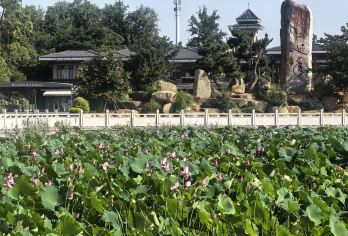 武汉机场转机游/5小时武汉东湖|城市全景自然之旅【探索东湖磨山双重魅力 磨山的季节性和生物多样性体验 安心导览磨山之旅】