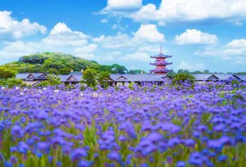 无锡灵山大佛+九龙灌浴+拈花湾一日游【 天天发车 纯玩团】【祈福直通车 天天发班 一人也成团 全程纯玩无购物】