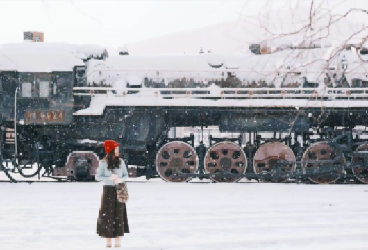 牡丹江出发，横道河子老街，东北虎林园，中东机车库，一日游！【横道河子老街‌：200多栋俄式老建筑，黄墙木窗超有异域感，适合拍照打卡。】