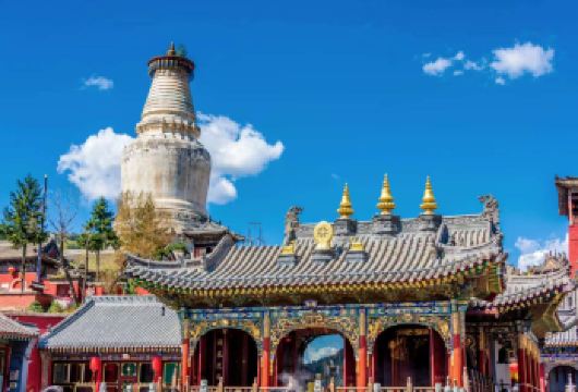 忻州五台山一日游（4-8人小团）免费上门接送 可选含【门票】【点对点上门接送，车型任选；忻州市区内免费上门接送，可直达景区内精华寺庙，游览大文殊寺，殊像寺，五爷庙】