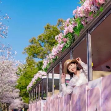 无锡灵山大佛+拈花湾一日游【纯玩樱花季&一票畅玩&赠冰箱贴】