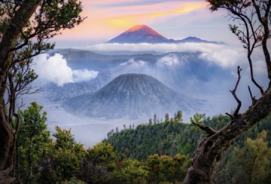 探秘东爪哇的自然奇迹 —— 布罗莫火山探险之旅一日游【壮观的日出景观-体验布罗莫火山迎接第一缕阳光的震撼时刻，观赏云海之上金碧辉煌的火山口的美景。】