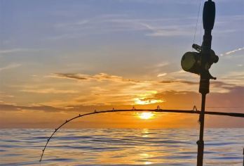 青岛出海钓鱼+小港钓鱼码头/4小时海钓/含渔具鱼饵/无二消【体验海钓乐趣 含餐畅享海鲜酒水饮料】