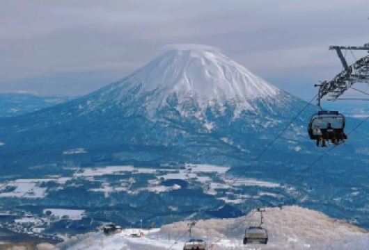 日本札幌往返大雪山国家公园-可小樽登别富良野北海道包车-精选【包车一日游，解锁旅行新方式！独立车辆配备经验丰富的老司机，为您量身打造专属行程。】