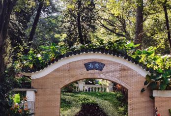 广州省博物馆+广州塔+陈家祠+沙面+越秀公园一日游可英文服务【可提供英文及小语种导游服务-往返接送-可选导游】