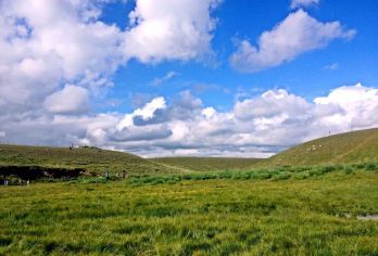 青海湖+青海湖金沙湾+金银滩草原【中文司机+8小时VIP小团服务】