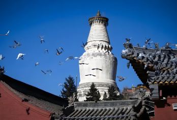 五台山1对1专业导游讲解（正规持证导游，无隐性消费）【讲解专业，经验丰富，暖心服务，真诚负责，佛学导游，无隐形消费】