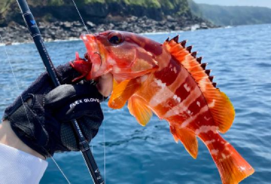西南线海钓线：海钓看海豚实弹射击挟才海水浴场休止符小羊肖恩【挟才海水浴场 白色沙滩由贝壳粉末构成，与蔚蓝海水形成鲜明对比。沙滩延伸至海中的Z字形小岛及灯塔构成】