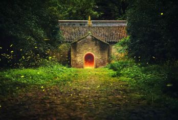 南京钟山风景区人文自然之旅【全程包车 专属服务】