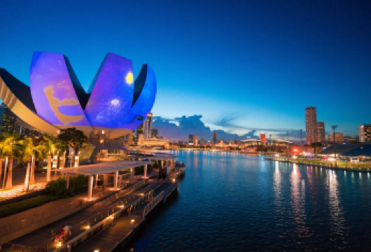 【新加坡亲子游】亚洲雨林探险园+艺术科学博物馆+鸭子船【包车服务，行程灵活，可定制路线】