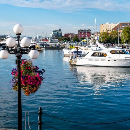 加拿大温哥华周边维多利亚观鲸一日游