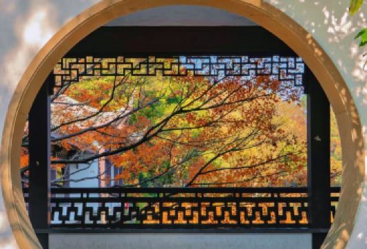 西湖风景名胜区休闲船+三潭印月登岛(花港观鱼码头)+人工讲解【西湖胜景：专业讲解带您穿越千年诗意杭州】