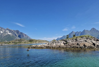 挪威卑尔根-沃斯-弗洛姆小镇一日游【中文专车-悦享旅程】【中文专车出行，景点灵活调整，打卡经典，游玩自己定义，无需等待，专属贴心服务，尽享惬意旅程】