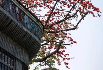 广州沙湾古镇+海鸥岛+莲花山一日游【中文司机，10小时VIP小团服务】