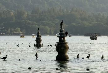 杭州英语西、俄、德、法、意、日语等多种导游可选【行程帮定制】【导游持证上岗】