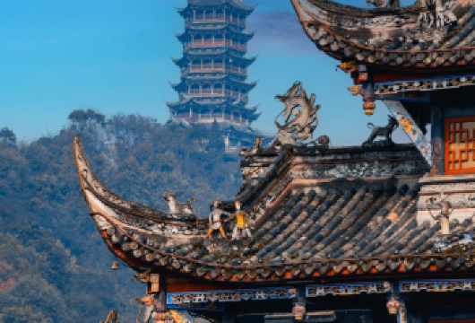 【探秘都江 熊猫寻趣】熊猫小匠研学基地+熊猫苑+都江堰1日营【近距离观察熊猫、学科普做膳食，沉浸式感受国宝魅力】