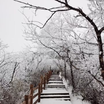 米仓山国家森林公园一日游【赏雪滑雪/汉中起止-官方专线】