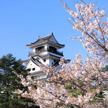 日本高知一日游：高知城+弘人市场+桂滨 中文司机丨行程可调