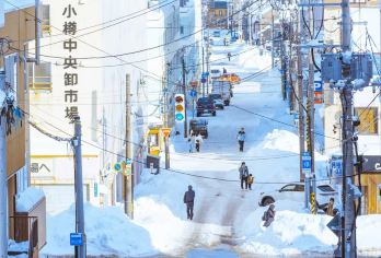 日本札幌-小樽八音盒朝里等/可登别富良野北海道多日包车-精选【包车一日游，解锁旅行新方式！独立车辆配备经验丰富的老司机，为您量身打造专属行程。】