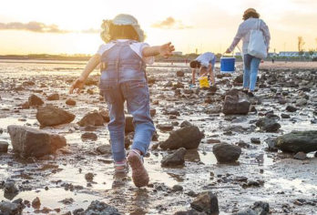 青岛崂山仰口+太清+环海路+青山村八水河【含门票！可赶海！】【[特别省心]市区酒店上门接，专车进山不用换乘压力，精致出游一站式服务让您更放心】