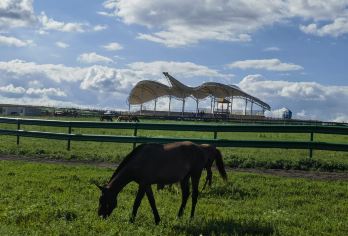 呼和浩特敕勒川草原+红石崖国家生态公园+千古马颂 半日游【晚出发、行摄草原、深度穿越草原、】