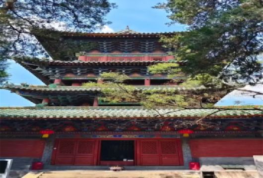 嵩山少林寺一日游【郑州出发，含少林寺耳麦】【全天游禅宗少林，武术表演、常住院、塔林一价全包，自由活动有更多选】