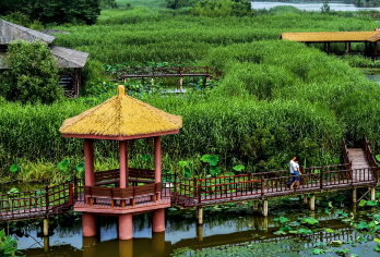 泰州包车地陪导游翻译地接陪同接送旅游展会商务考察陪诊【泰州包车地陪导游翻译地接陪同接送旅游展会商务考察陪诊】