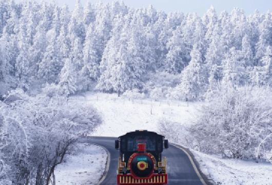 2-8人小团｜重庆武隆一日游A线｜天生三桥+仙女山+乌江画廊【[纯玩精品团]2-8人纯玩团，不进任何购物店，无任何套路，把时间完全交给景区！】