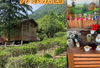 广西贺州姑婆山+玉石林+永丰湖湿地公园包车一日游可英文服务【可提供英文及小语种导游服务-往返接送-可选导游-可代订门票】