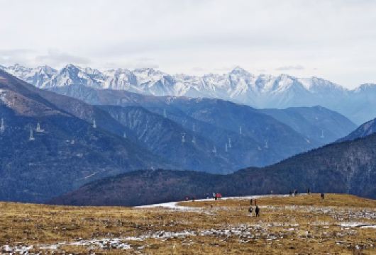 米亚罗.猛古雪山一日游【漫步云端之上的高山草甸，享草原牧场风光！】