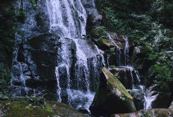 商务车丨可选英文导游丨杭州出发 湖州藏龙百瀑+安吉江南天池【[精选景点]欣赏江南水乡美景，体味烟火人间！】