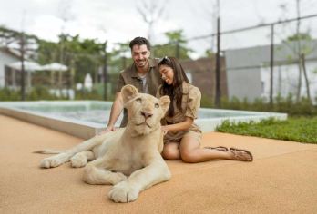 普吉岛狮子园：撸狮子|亲子互动新晋打卡地【和可爱狮子见面、打招呼并合影留念】